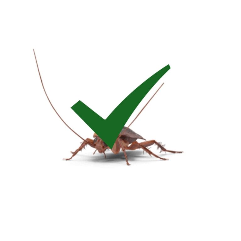 a bug with a green tick
